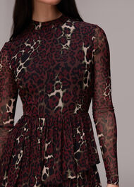 Night Cat Tiered Mesh Dress