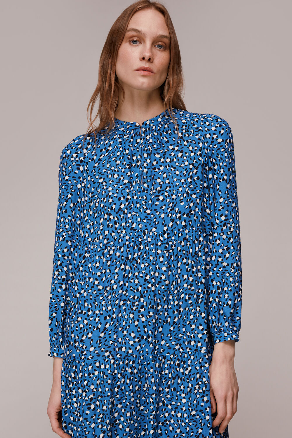 Amy Wild Leopard Trapeze Dress