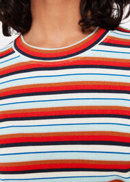 Stripe Ribbed Crew