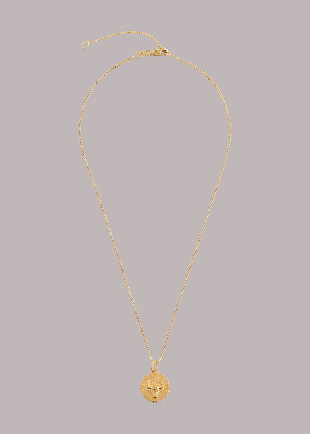 RJ Taurus Necklace