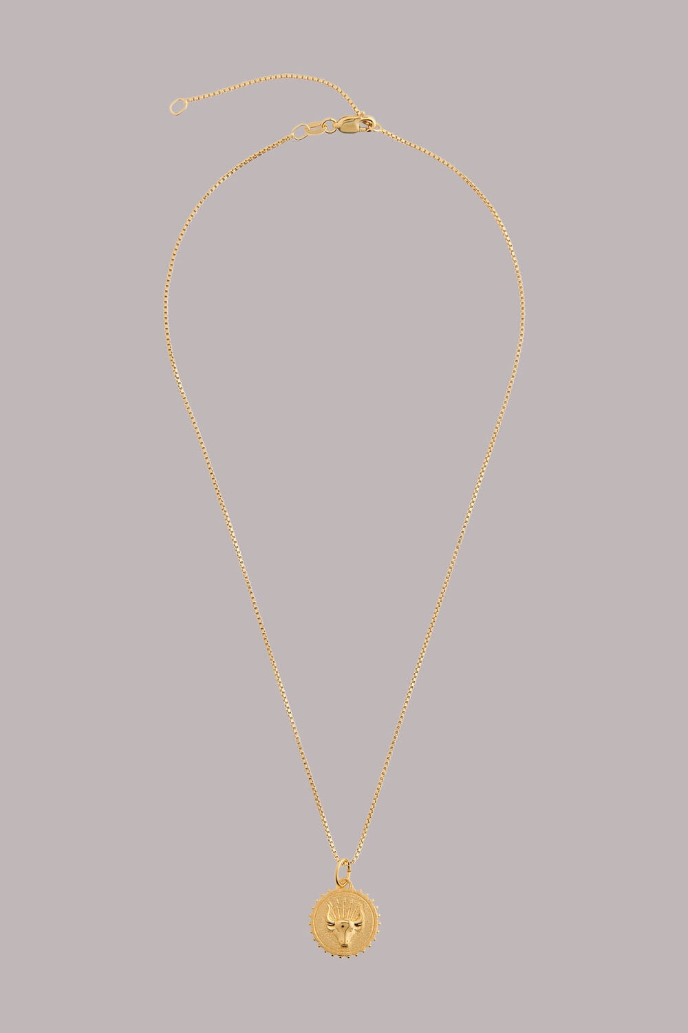 RJ Taurus Necklace