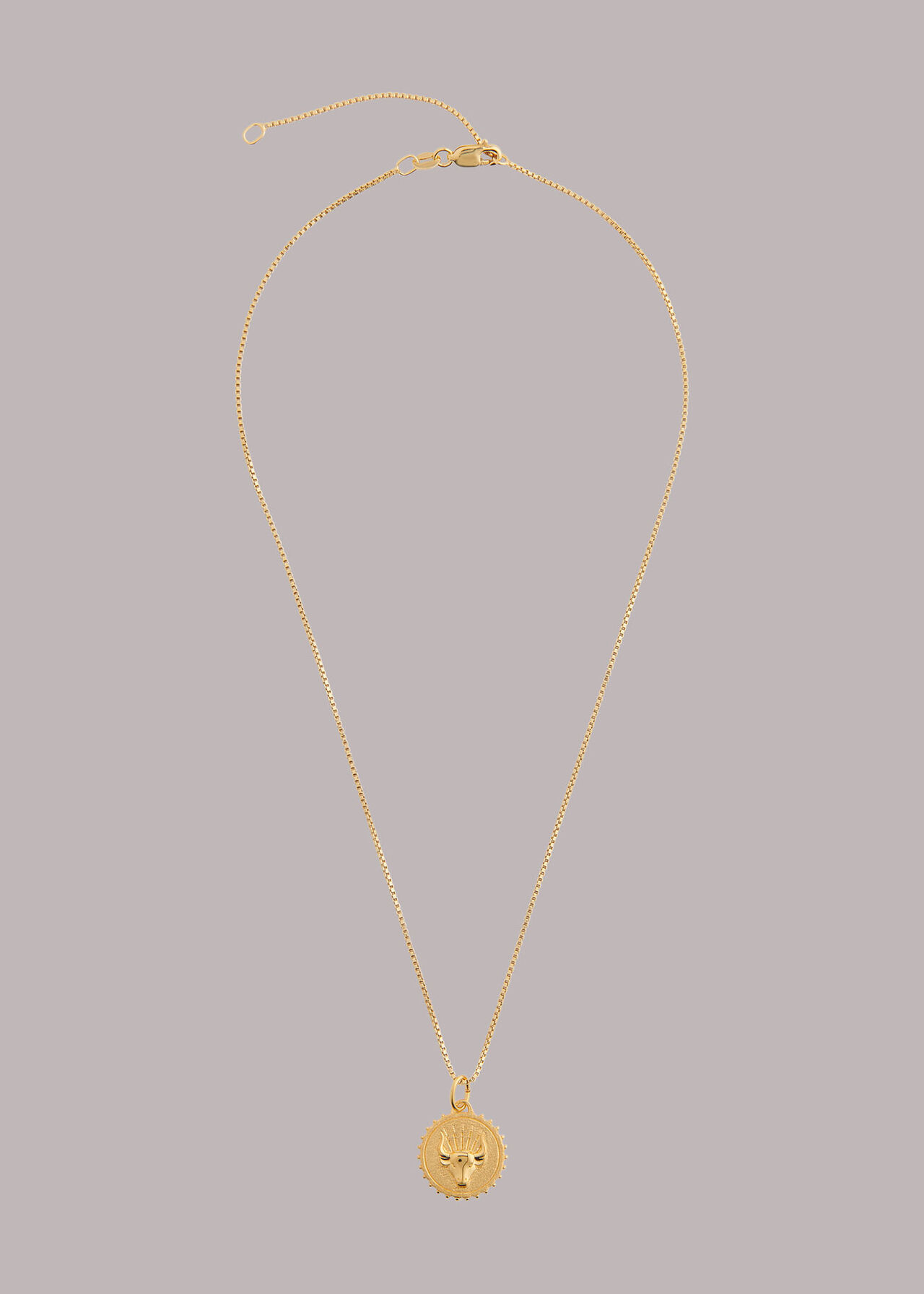 RJ Taurus Necklace