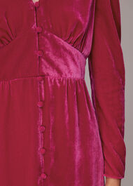 Ally Velvet Midi Dress
