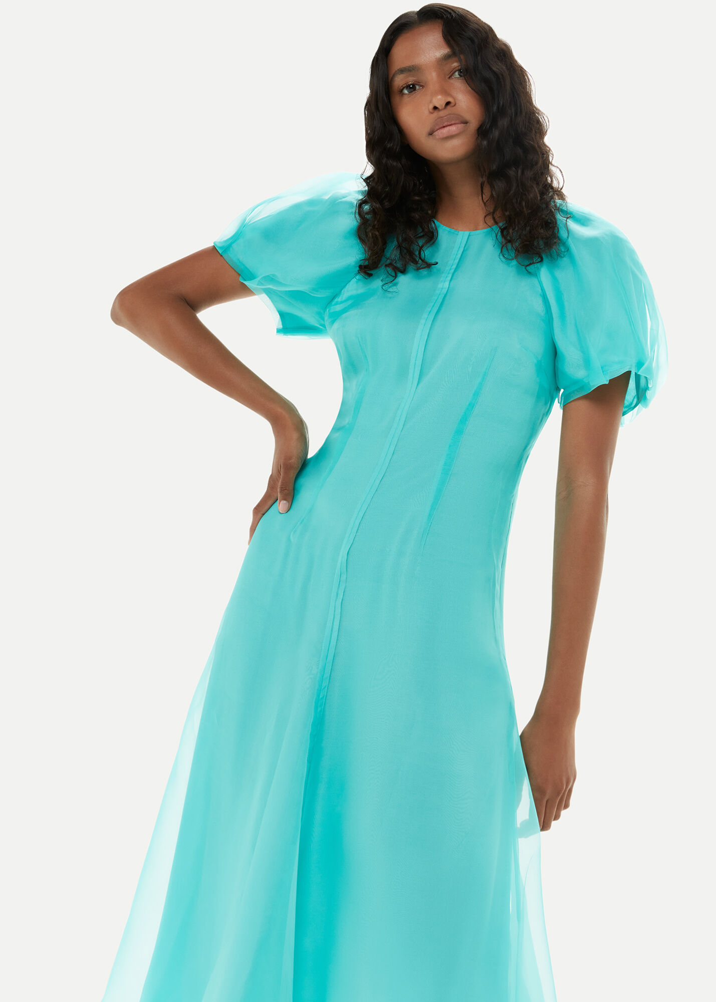 Sage Floral Organza Puff Sleeve Dress main image 1