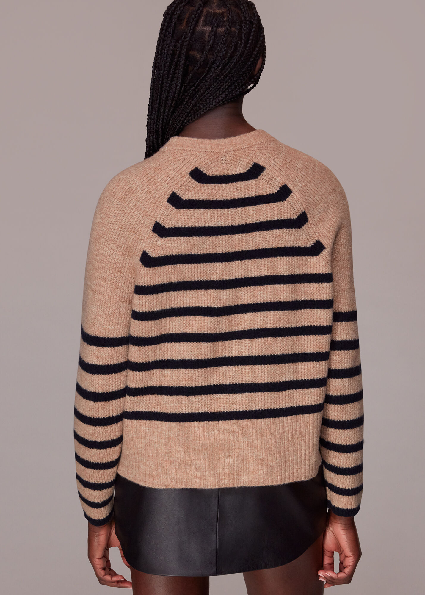 Navy/Multi Eden Stripe Ribbed Jumper WHISTLES Whistles UK