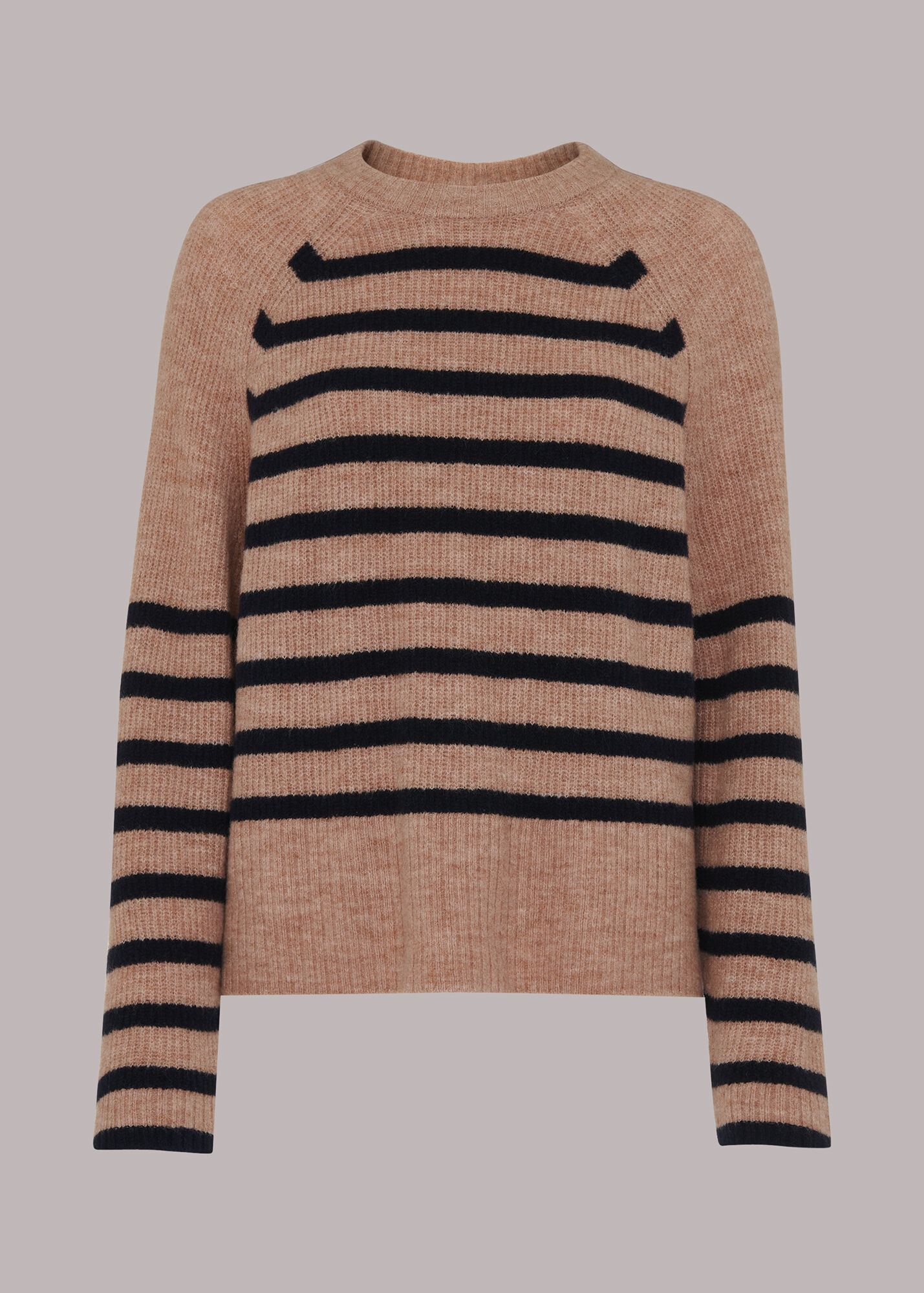 Navy/Multi Eden Stripe Ribbed Jumper WHISTLES Whistles UK
