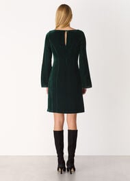 Velvet Flare Sleeve Dress