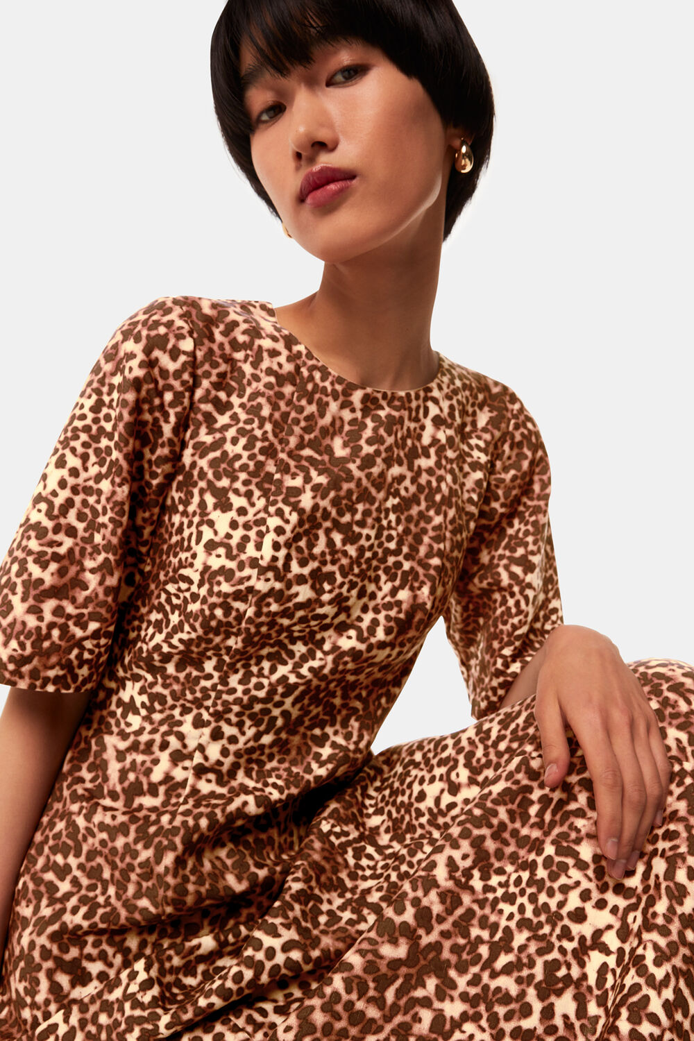 Multicolour animal print short sleeve midi dress