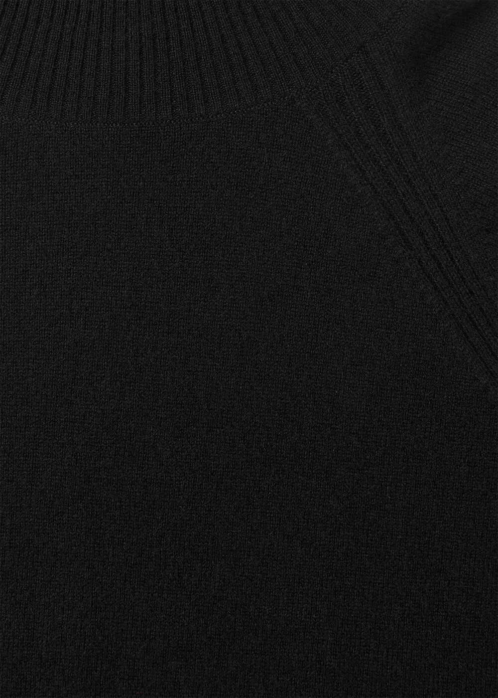 Petite Cashmere Roll Neck