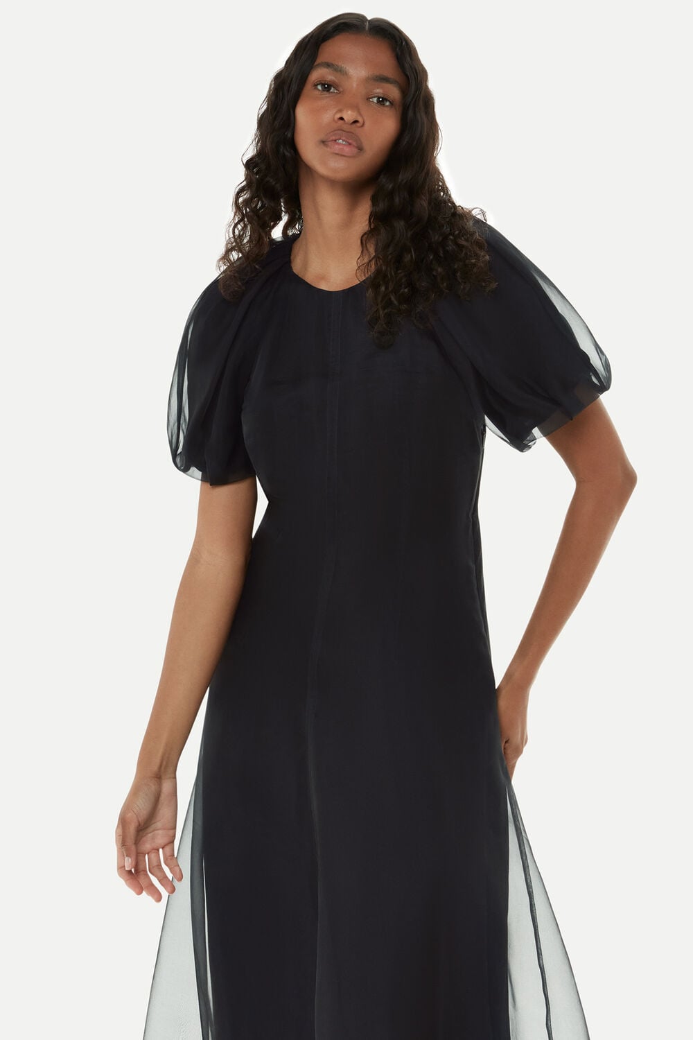 Organza Silk Puff Sleeve Dress