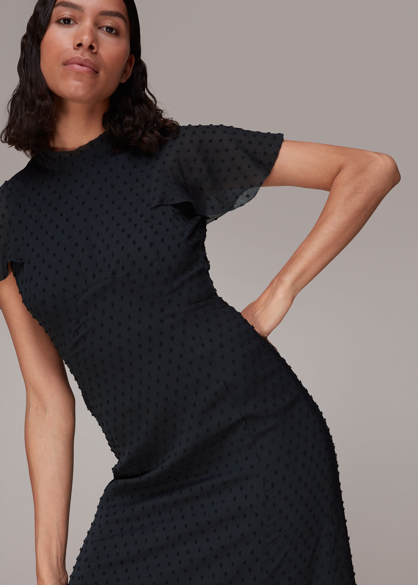 Navy Elouise Textured Dobby Dress WHISTLES