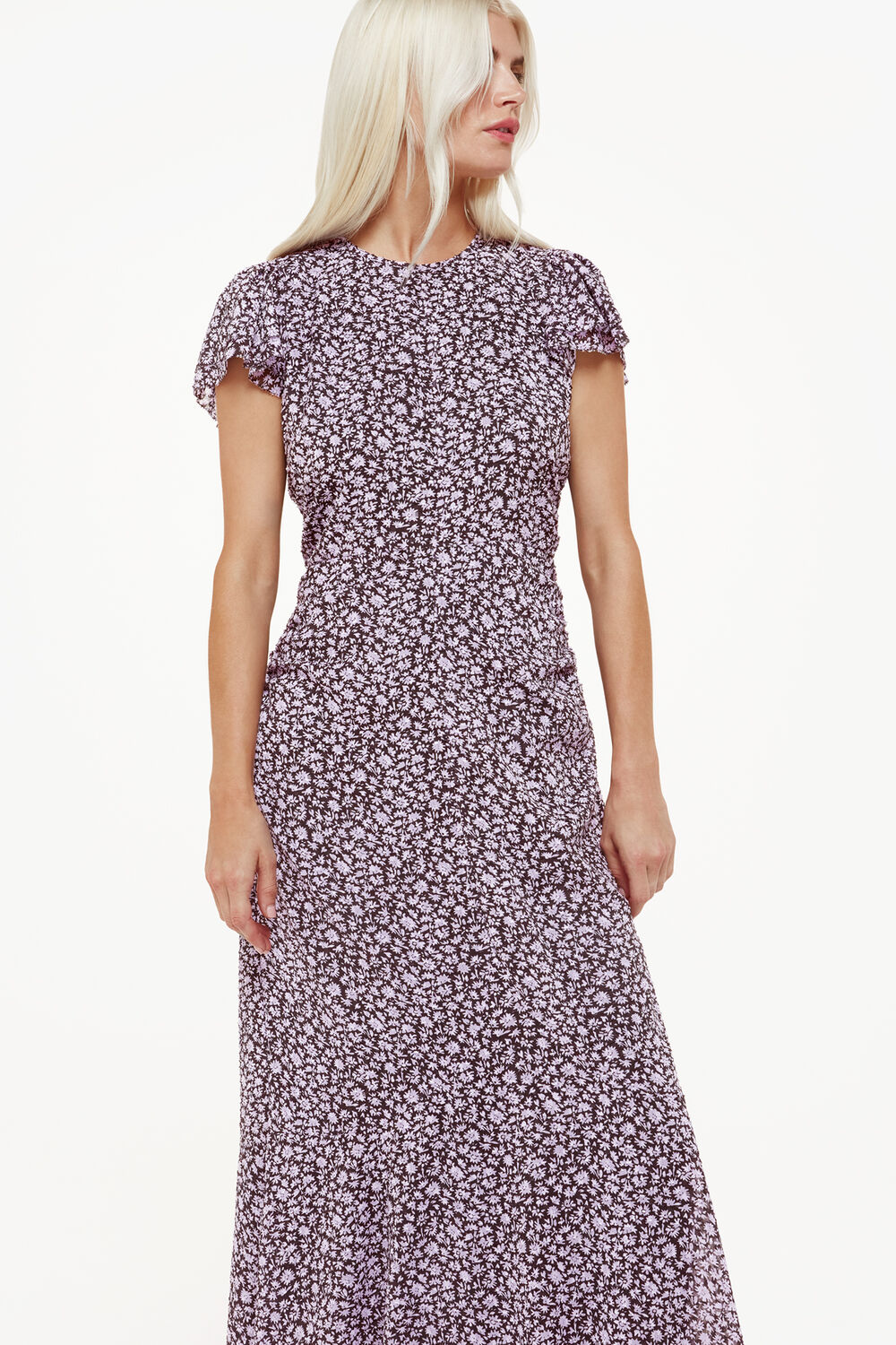 Petite Daisy Field Lola Dress