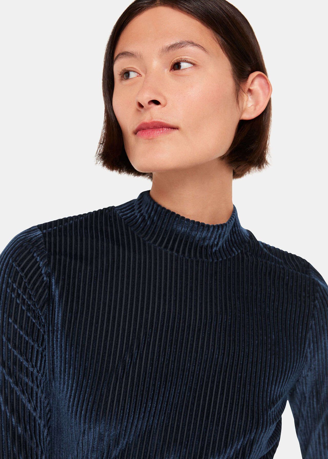 Velvet Stripe High Neck Top