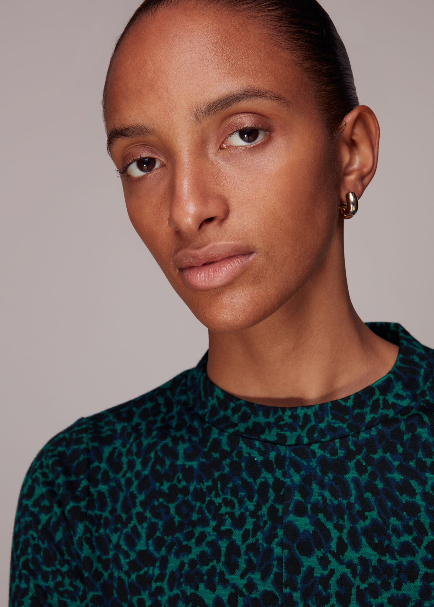 Teal/Multi Forest Leopard Jacquard Dress WHISTLES