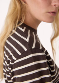 Stripe Cotton Jersey