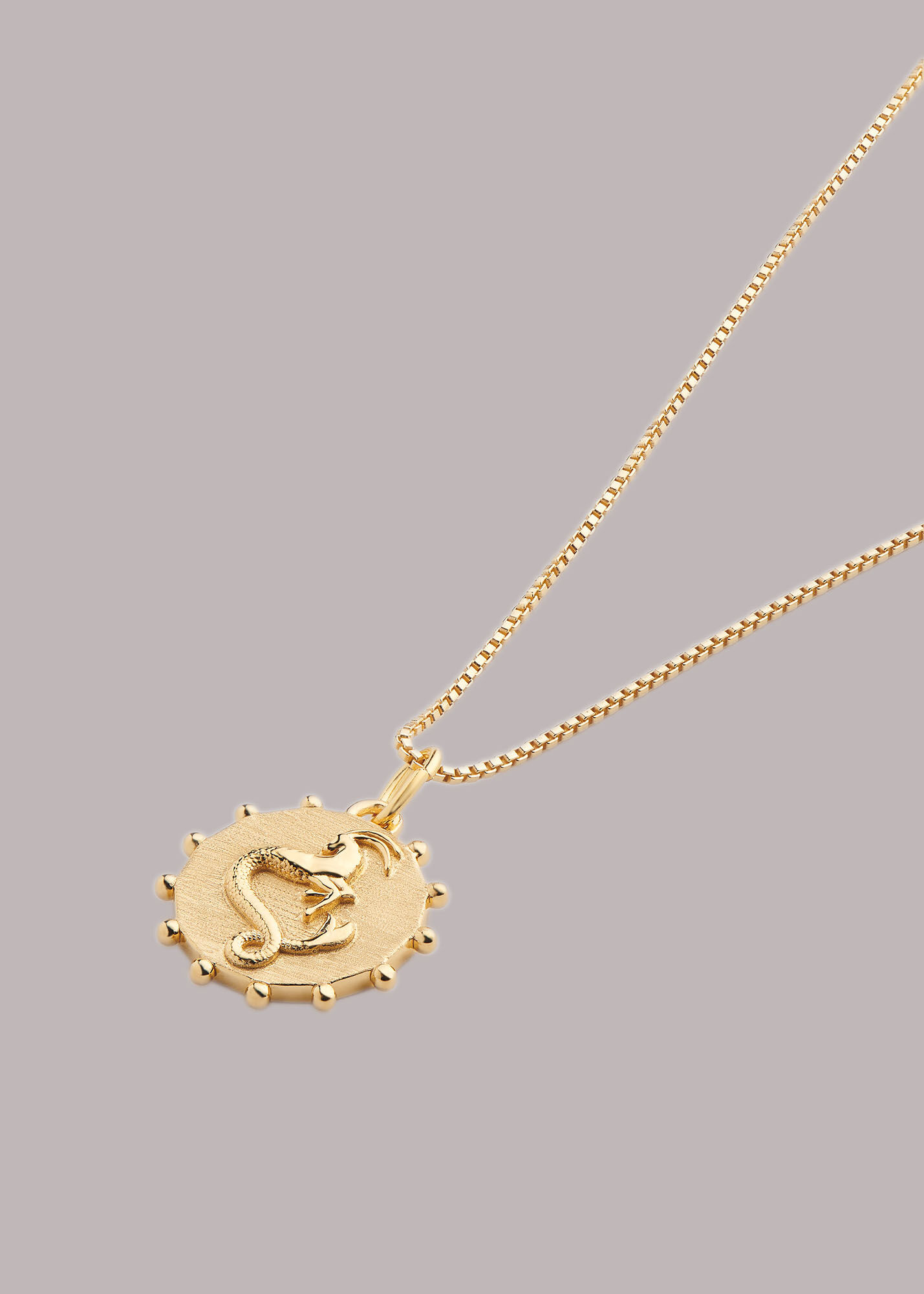 Capricorn discount gold chain