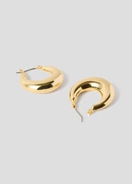 Curved Hoop Earring