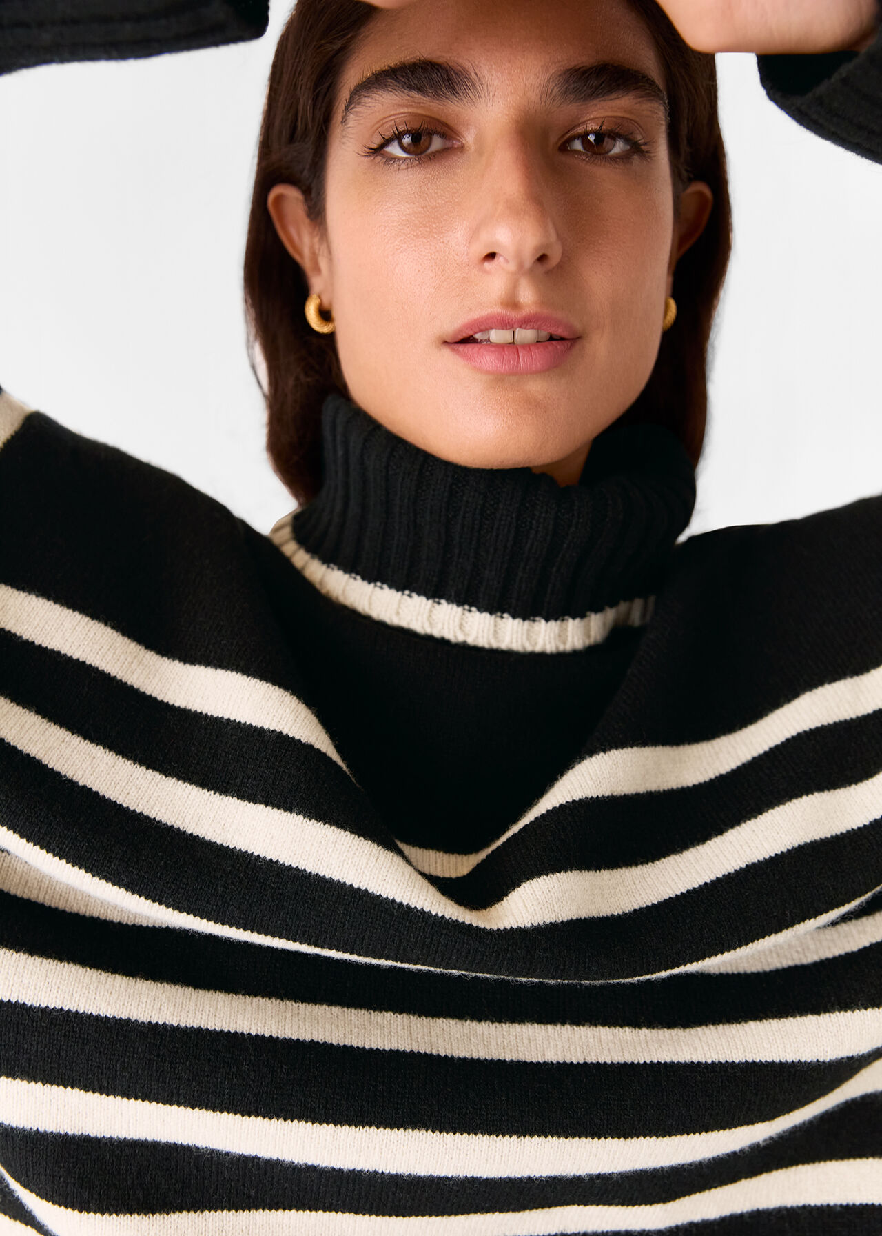 Stripe Wool Roll Neck