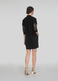 Paige Lace Sleeve Dress Black