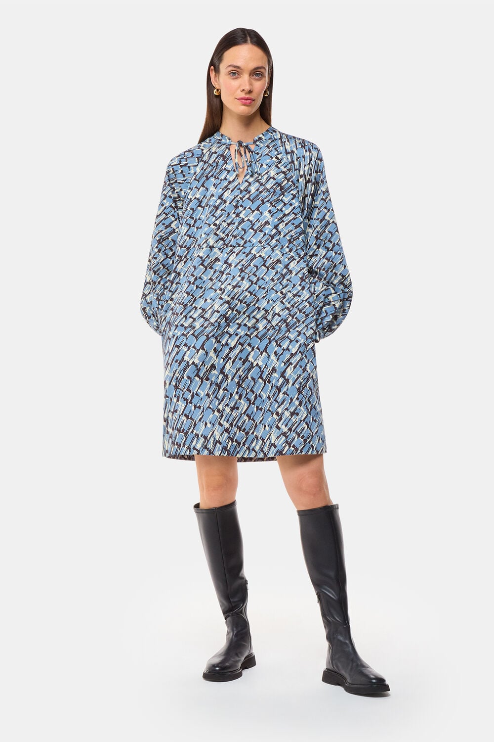 Blue Feathered Wing Marnie Dress