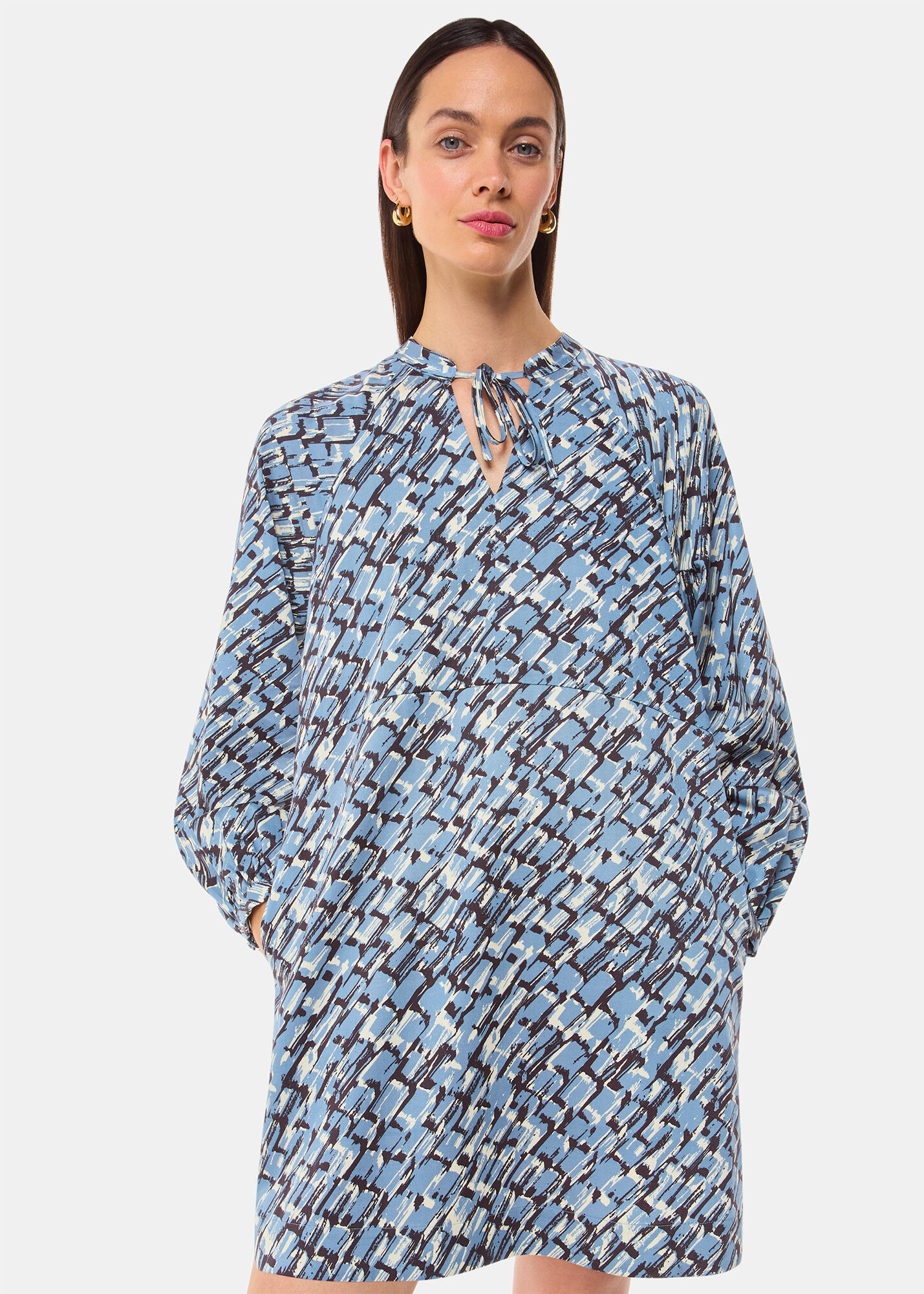 Coast marnie dress deals
