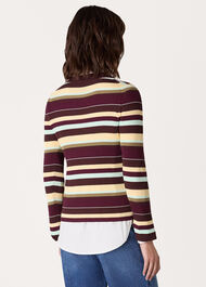 Multi Stripe Crew Neck Knit