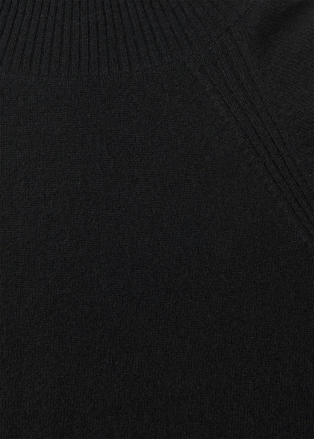Petite Cashmere Roll Neck