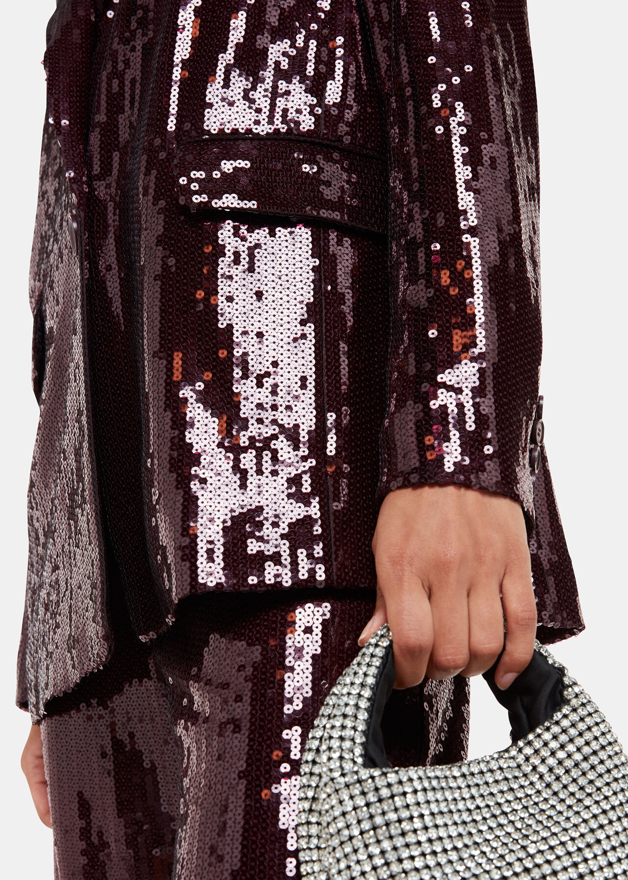 Misha Sequin Blazer