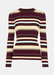Multi Stripe Crew Neck Knit
