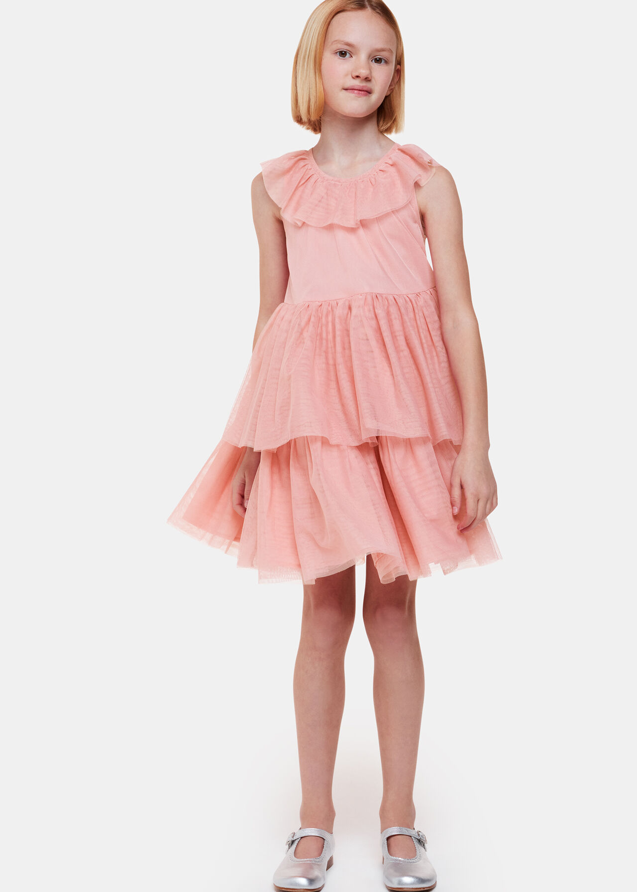 Tilda Tulle Frill Sleeve Dress