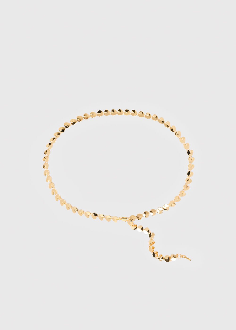 Detailed Circular Chain Belt