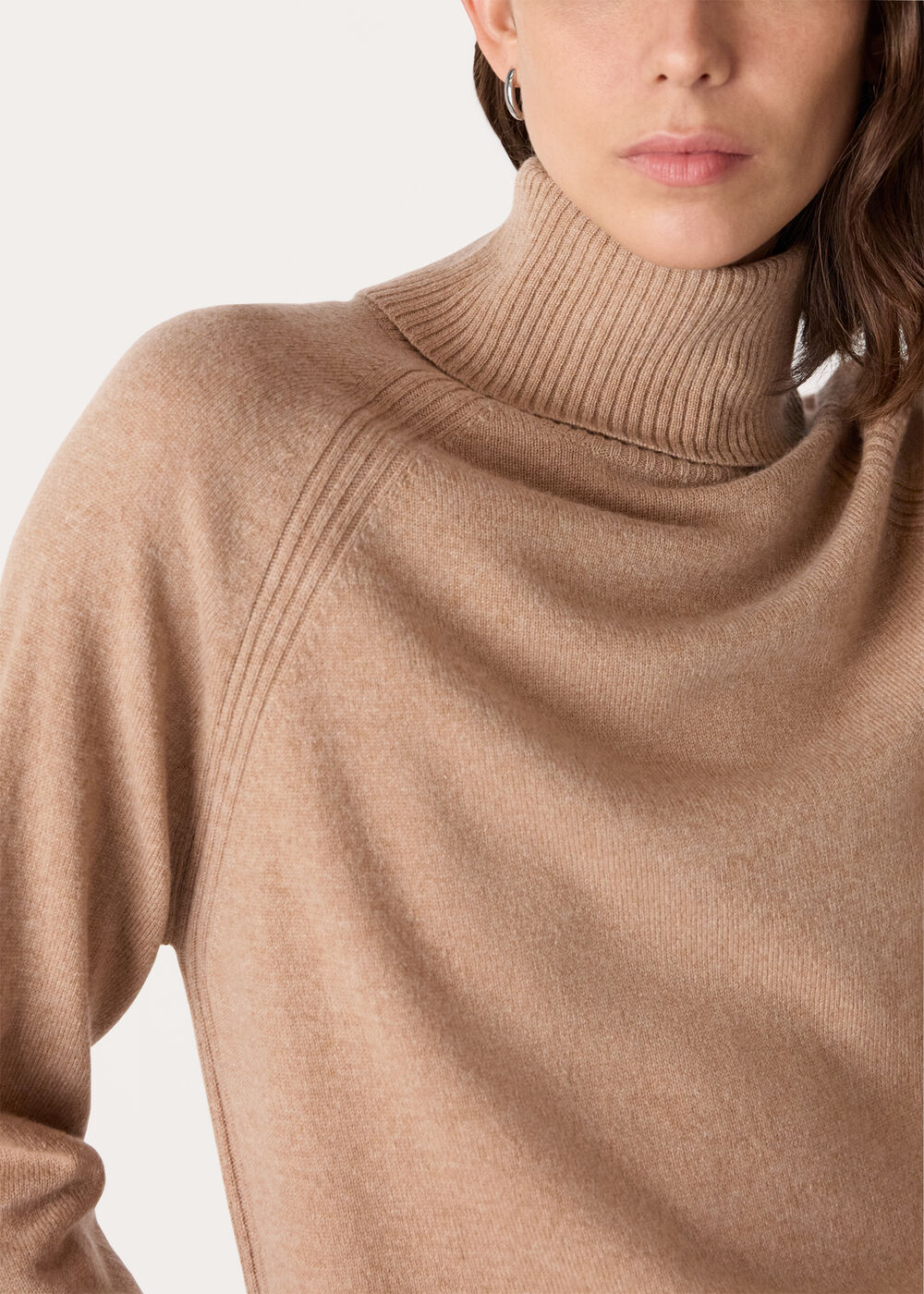 Cashmere Roll Neck