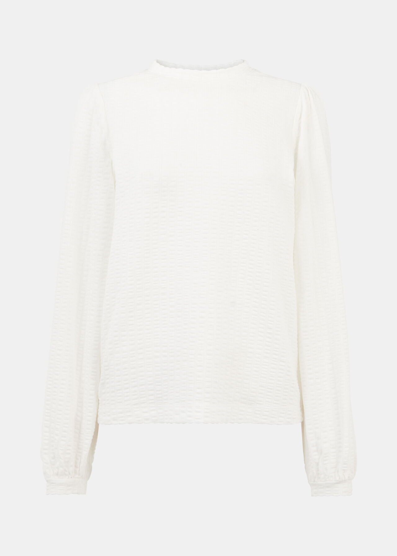 Textured Puff Sleeve Crew Neck