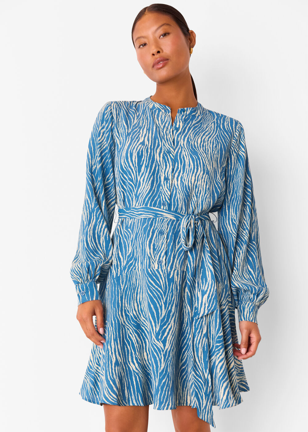 Petite Zebra Flippy Mini Dress