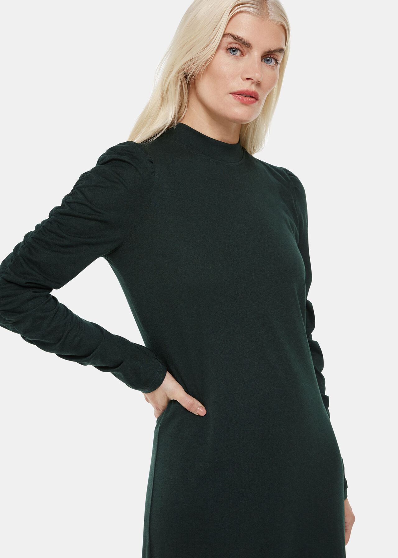 Petite Ruched Sleeve Jersey Dress