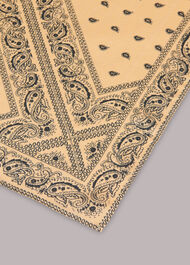 Bandana Print Silk Scarf