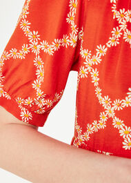 Daisy Trellis Trapeze Dress
