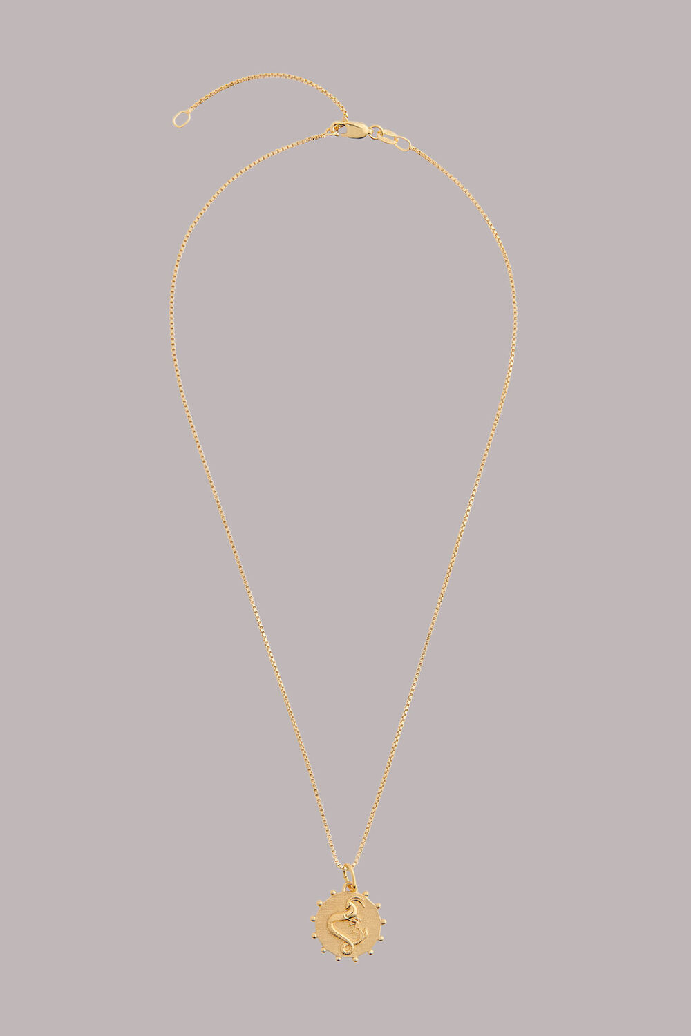 RJ Capricorn Necklace
