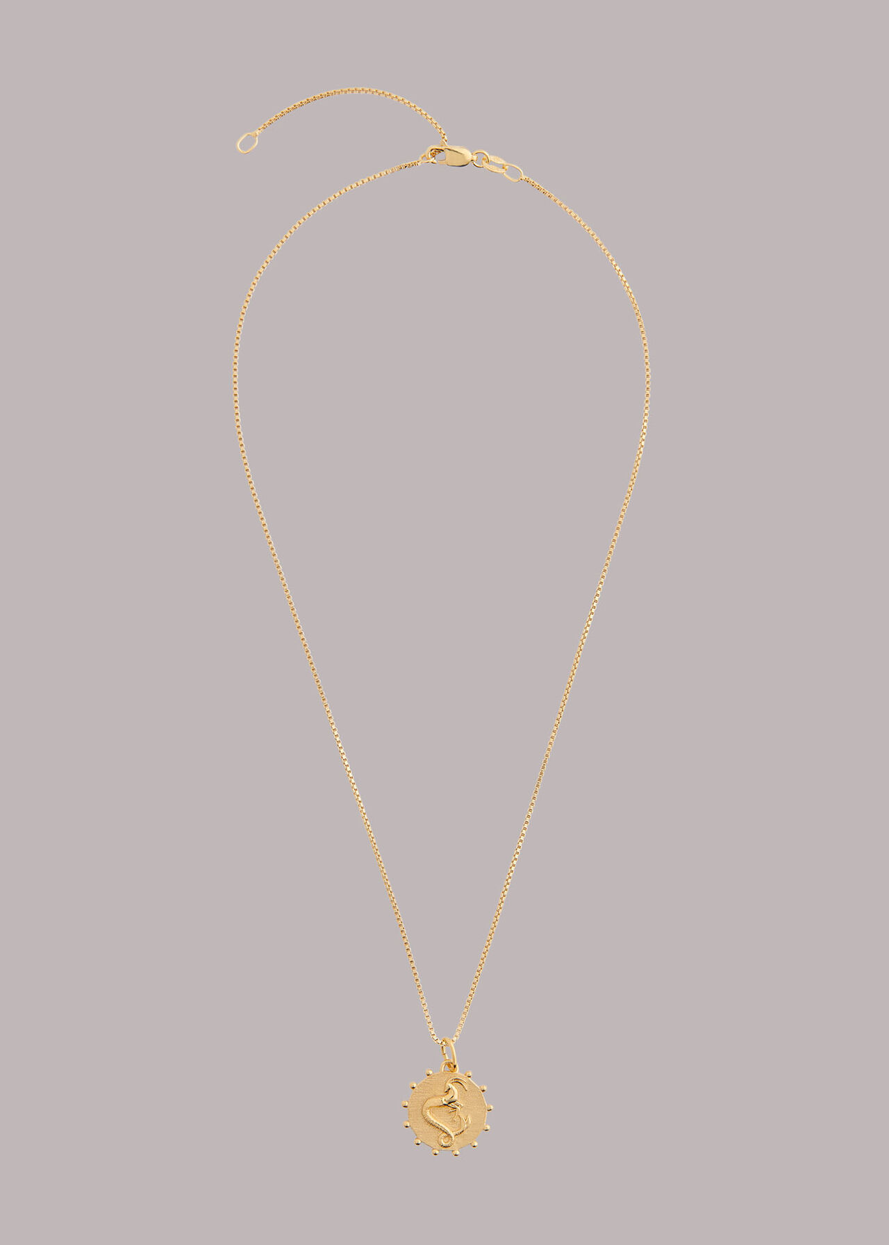 RJ Capricorn Necklace