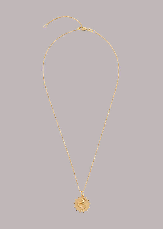 RJ Capricorn Necklace