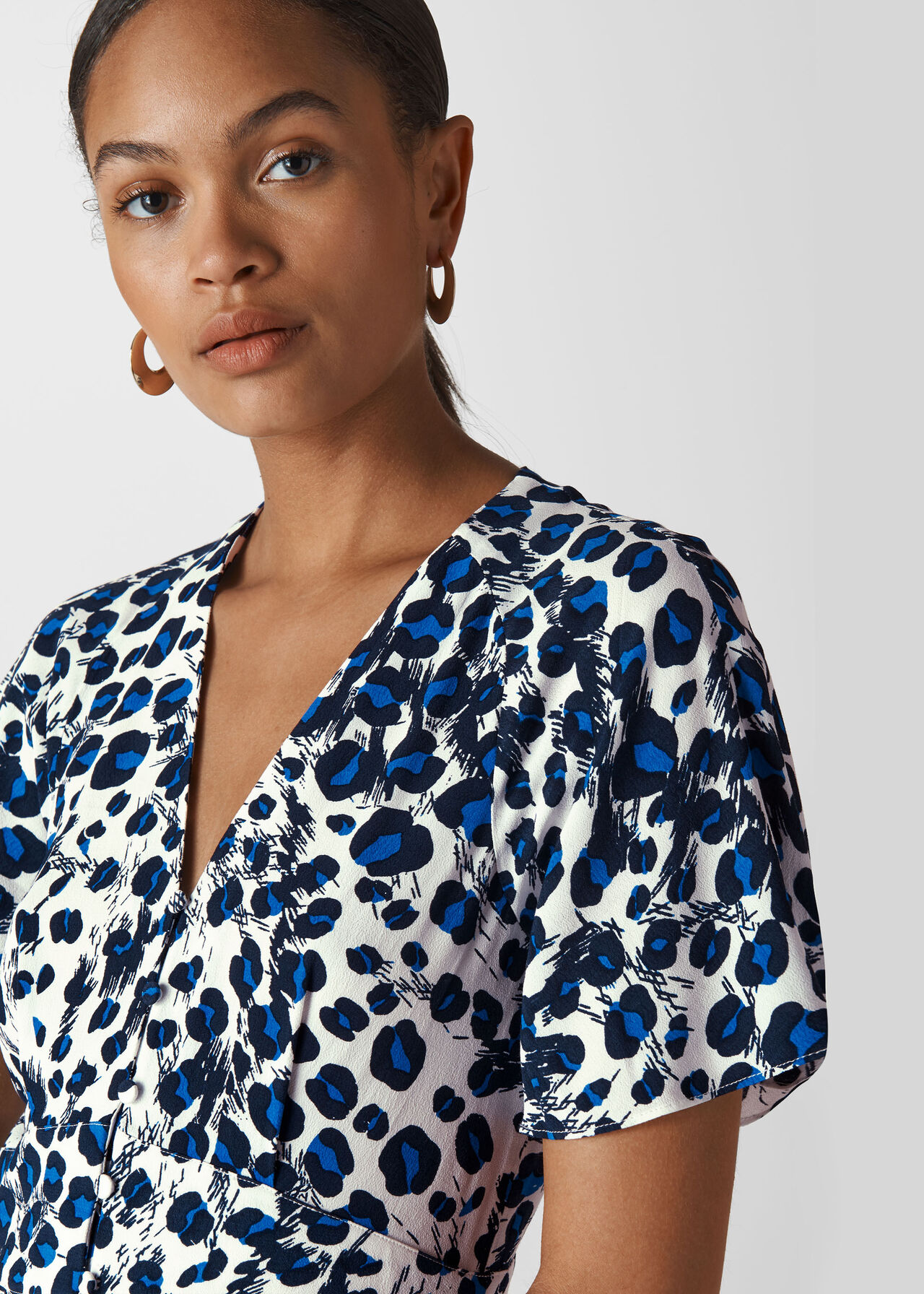 Blue/Multi Brushed Leopard Button Dress | WHISTLES |