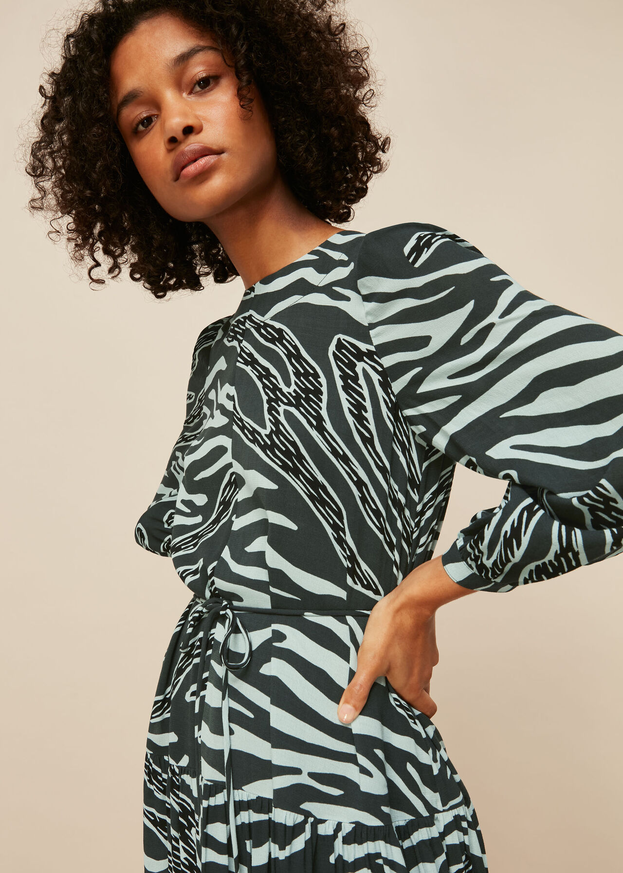 Graphic Zebra Print Dress