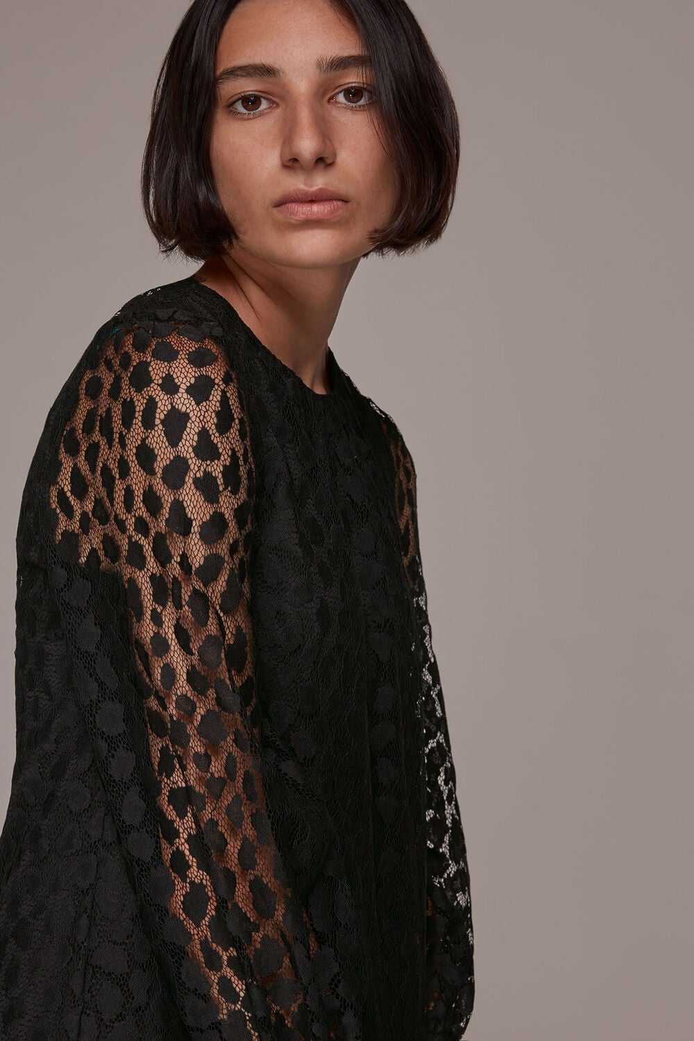 Animal Lace Tie Detail Dress