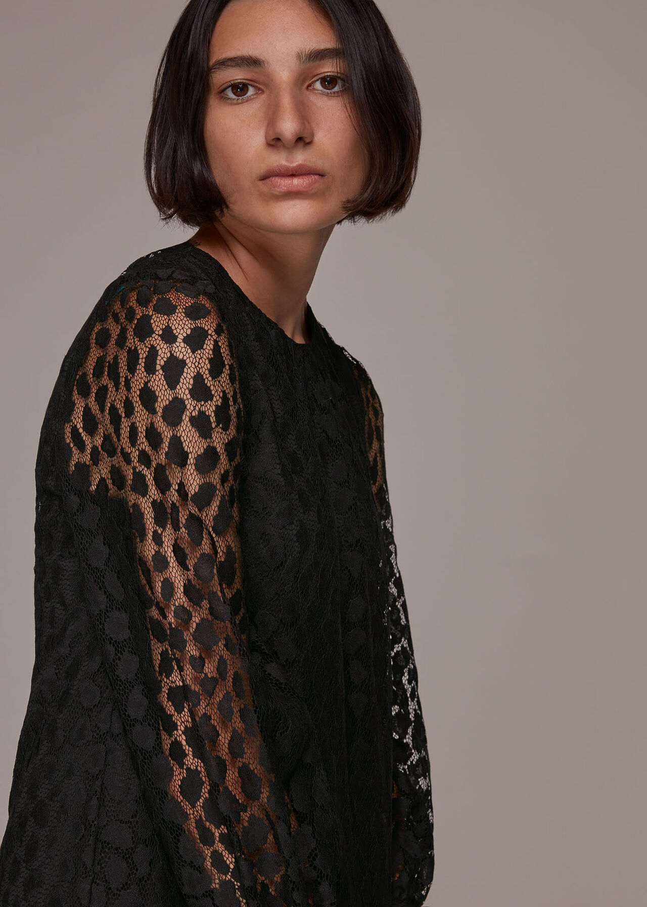 Animal Lace Tie Detail Dress