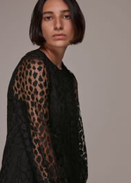 Animal Lace Tie Detail Dress