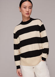 Stripe High Neck Sweater
