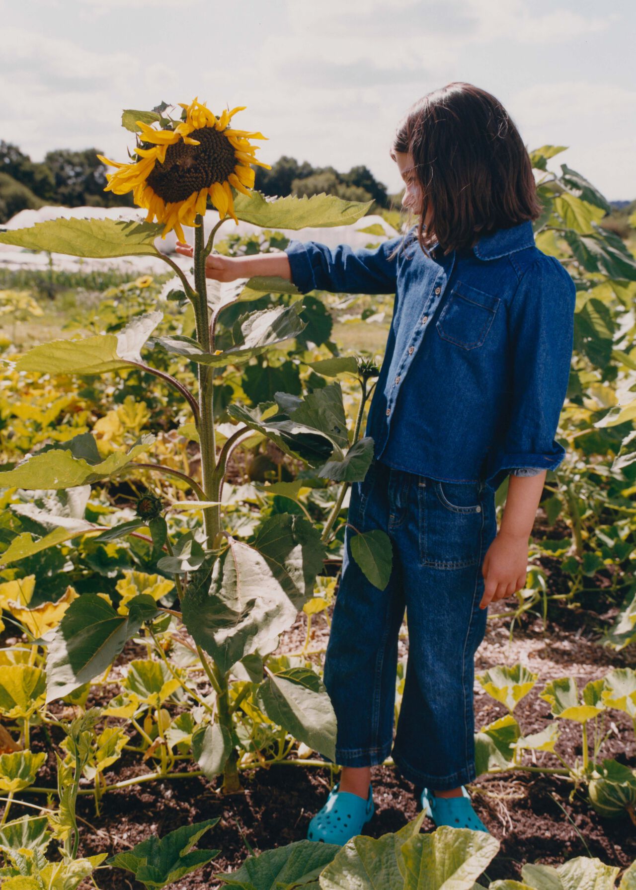 Denim Hazel Denim Shirt WHISTLES