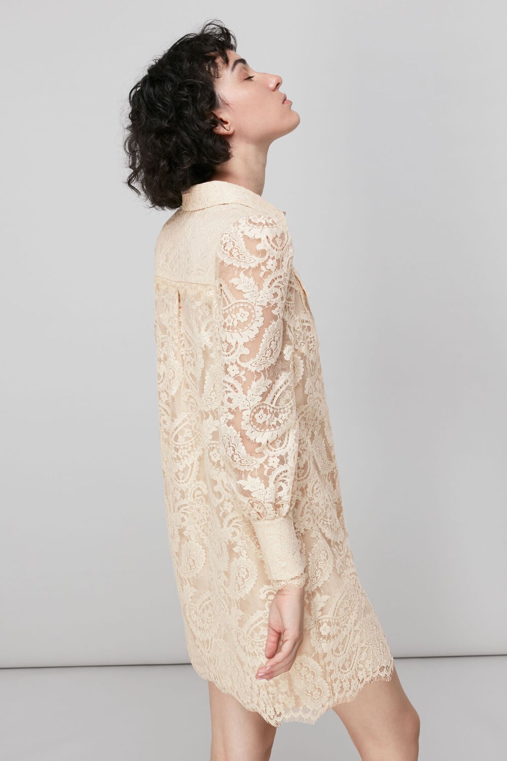 Lace Shirt Dress