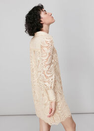 Lace Shirt Dress