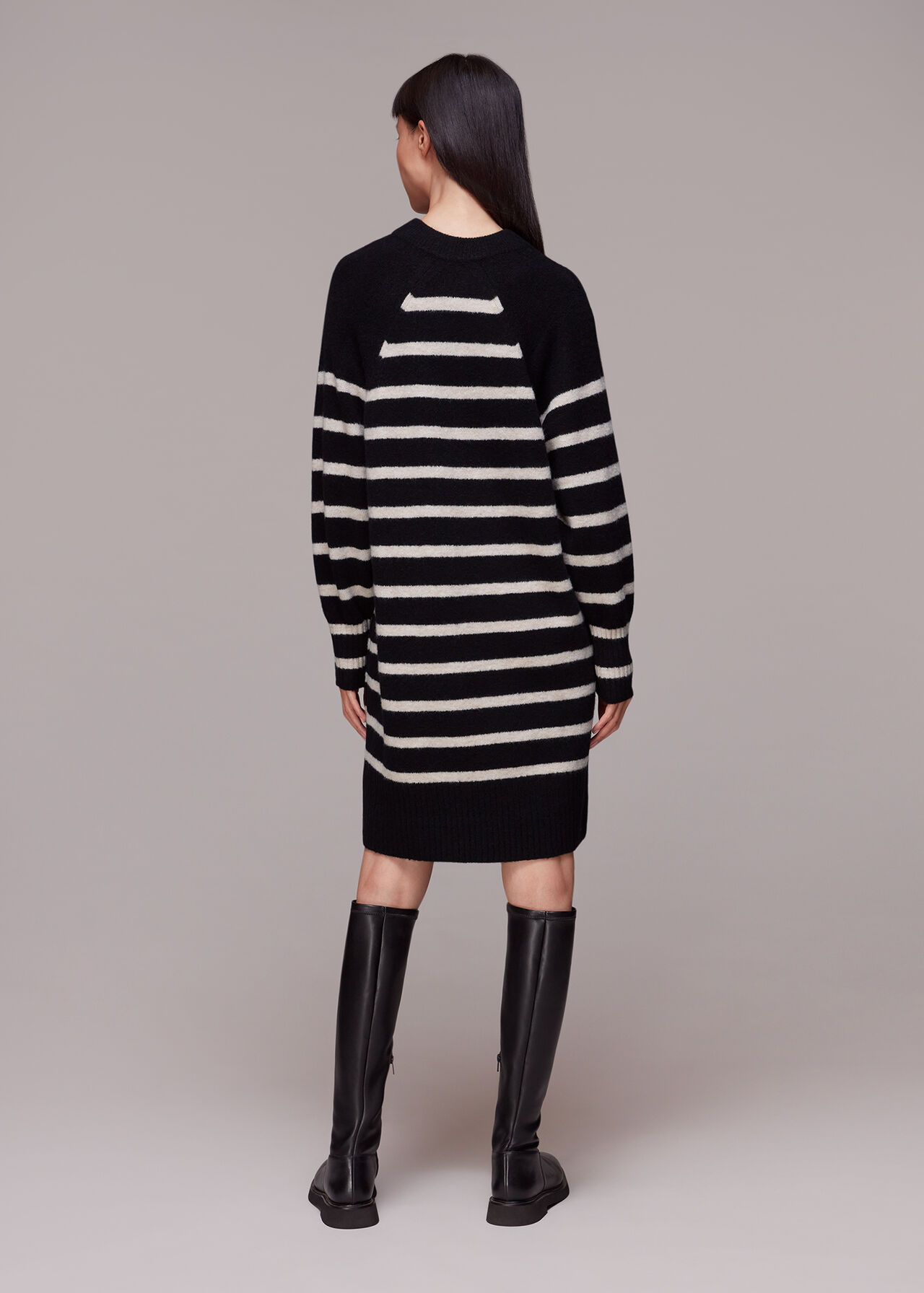 Stripe Crew Neck Knit Dress